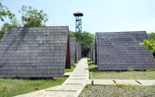 Penginapan TWA Mangrove