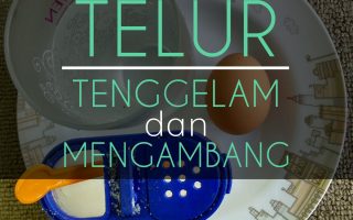 Percobaan Telur