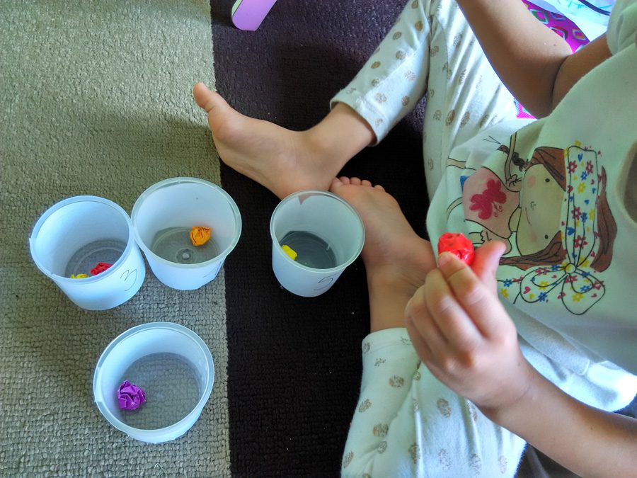 IMG_20160127_084316_HDR