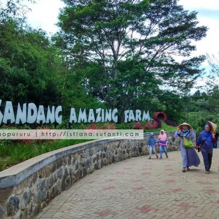 Dkandang Amazing Farm