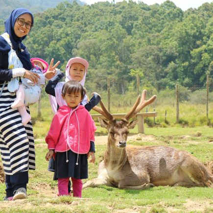 Penangkaran Rusa di Ranca Upas