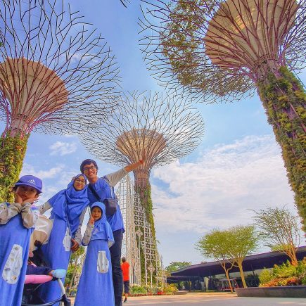 Super Tree Grove di Gardens By The Bay Singapura