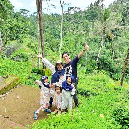 Tegalalang Ricefield