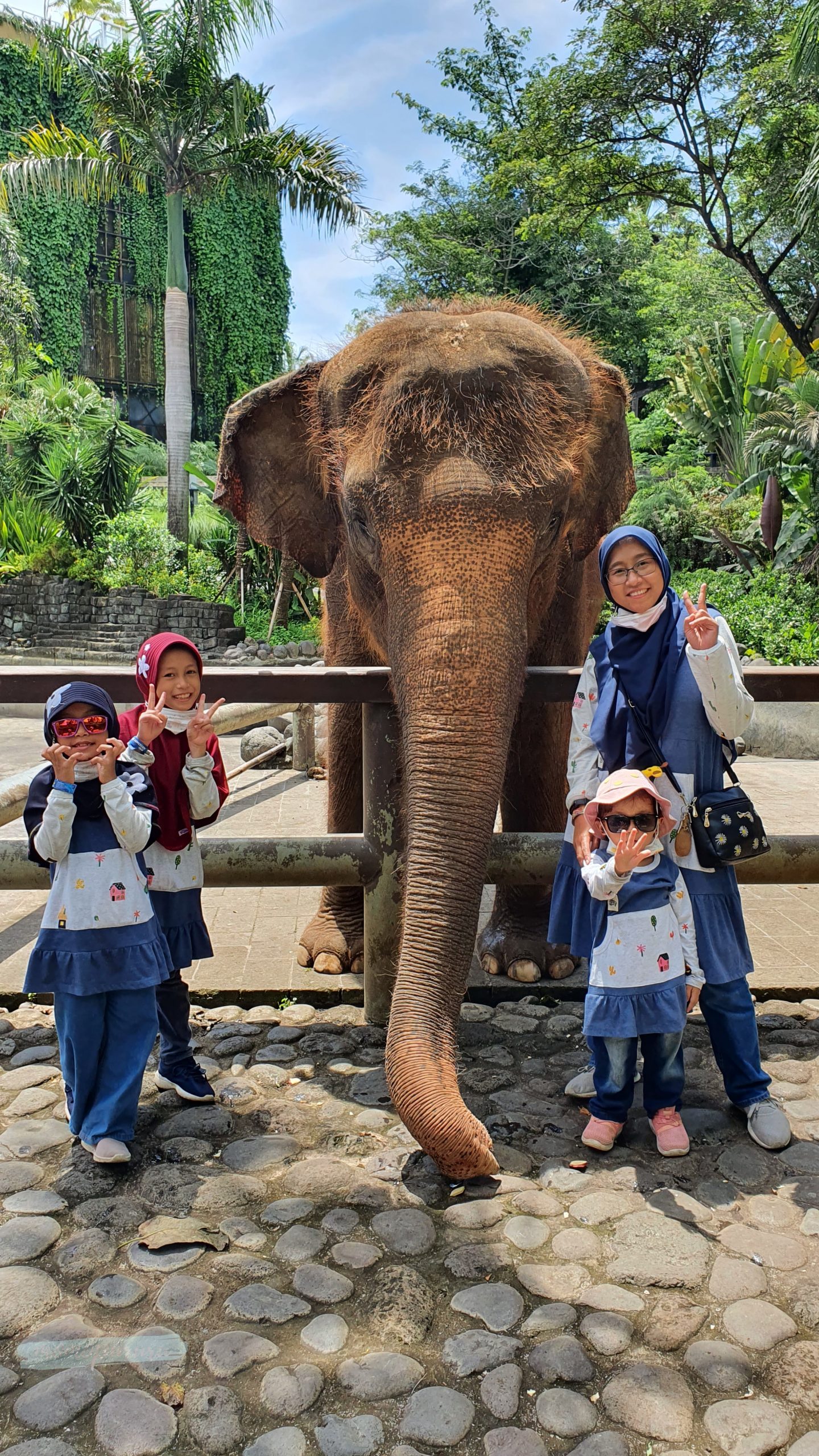 Berfoto Bersama Gajah di Bali Zoo