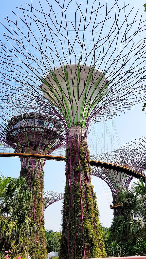 OCBC Skyway Gardens by The Bay