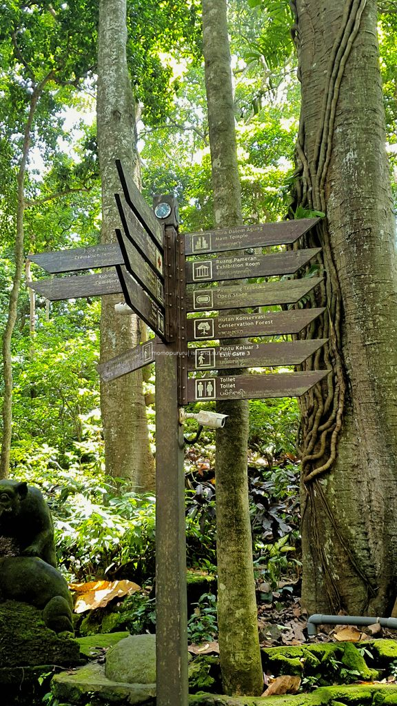 Petunjuk Arah Monkey Forest
