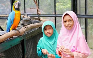 Memberi Makan Burung di Big Bird Aviary Lembang Park & Zoo