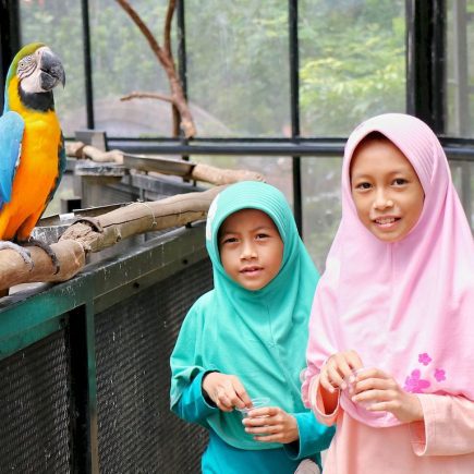 Memberi Makan Burung di Big Bird Aviary Lembang Park & Zoo