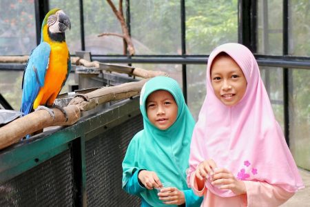 Memberi Makan Burung di Big Bird Aviary Lembang Park & Zoo