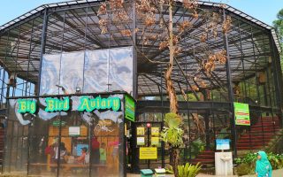 Big Bird Aviary Lembang Park & Zoo