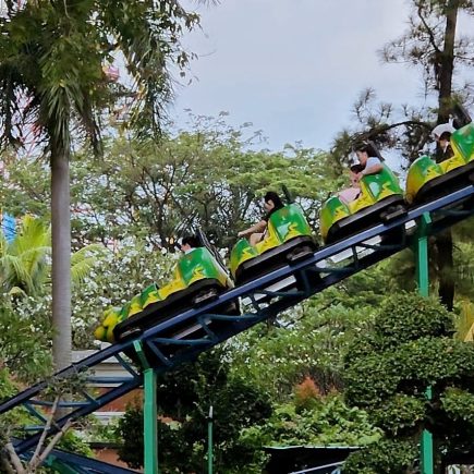 Alap-alap Dufan
