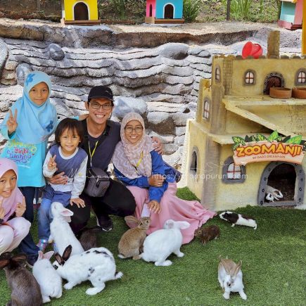 Kandang Kelinci dan Marmut