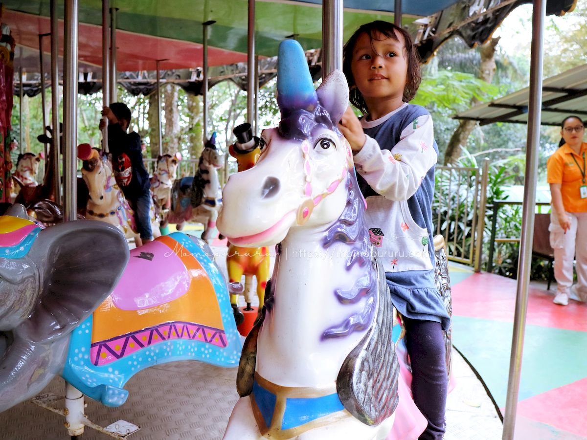Petualangan Seru di Taman Safari Prigen Bersama Anak-anak - Blog ...
