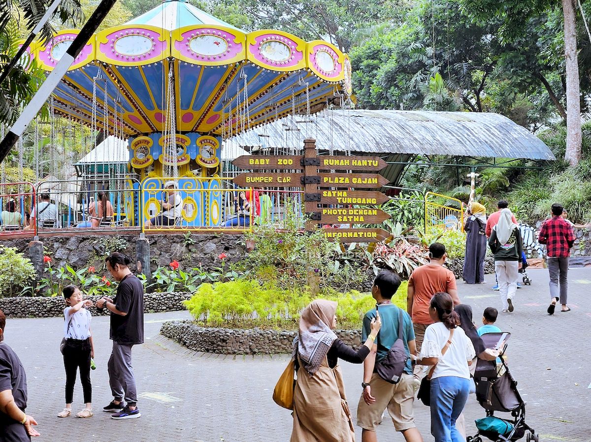 Petualangan Seru di Taman Safari Prigen Bersama Anak-anak - Blog ...