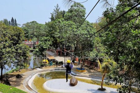 Naia Flying Fox di Rivera