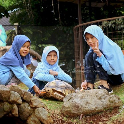 Mini zoo Dusun Semilir