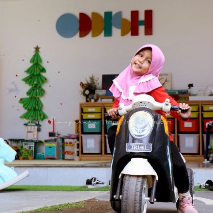 Main mobil-mobilan di Oddish Family Hub