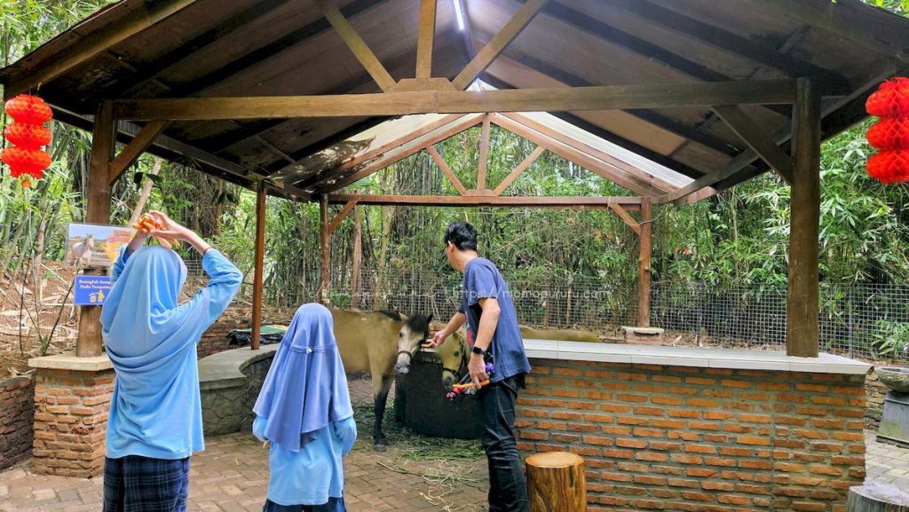 Kuda poni Jakarta Escape