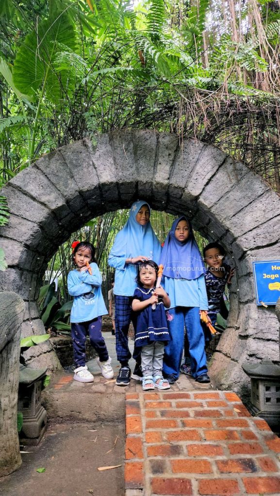 Memasuki hutan bambu