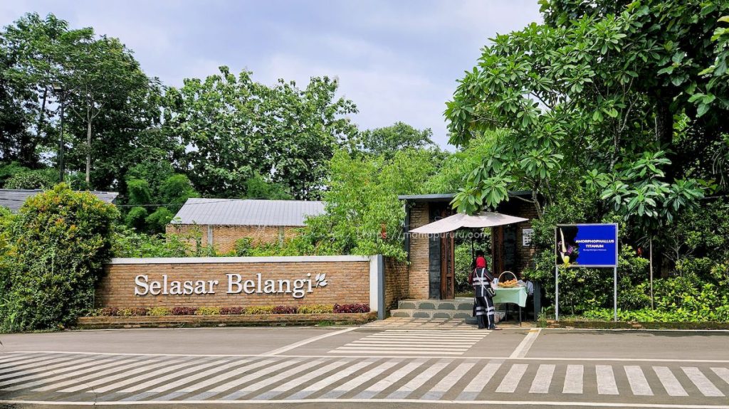 Pintu masuk menuju hutan bambu