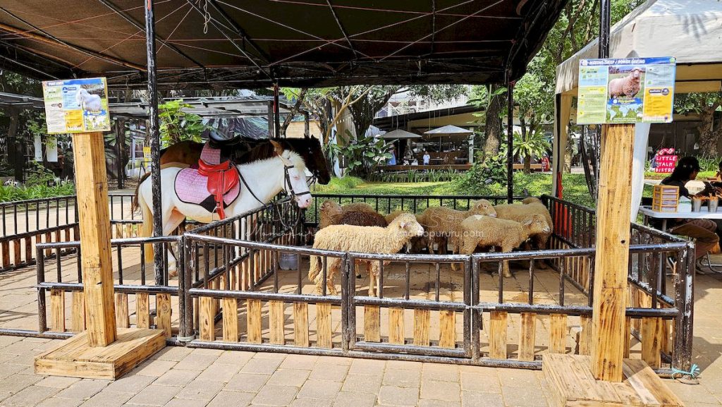 animal feeding urban forest