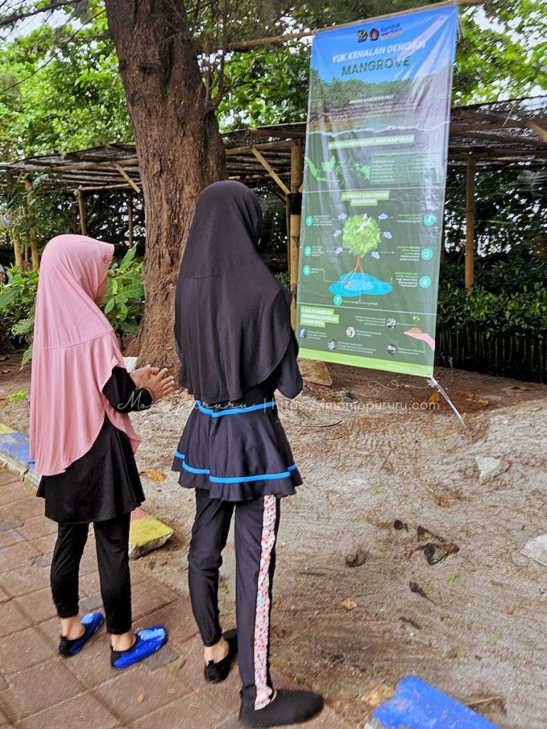 Konservasi Bakau Tidung