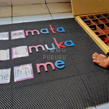 Belajar Calistung pakai Large Moveable Alphabet