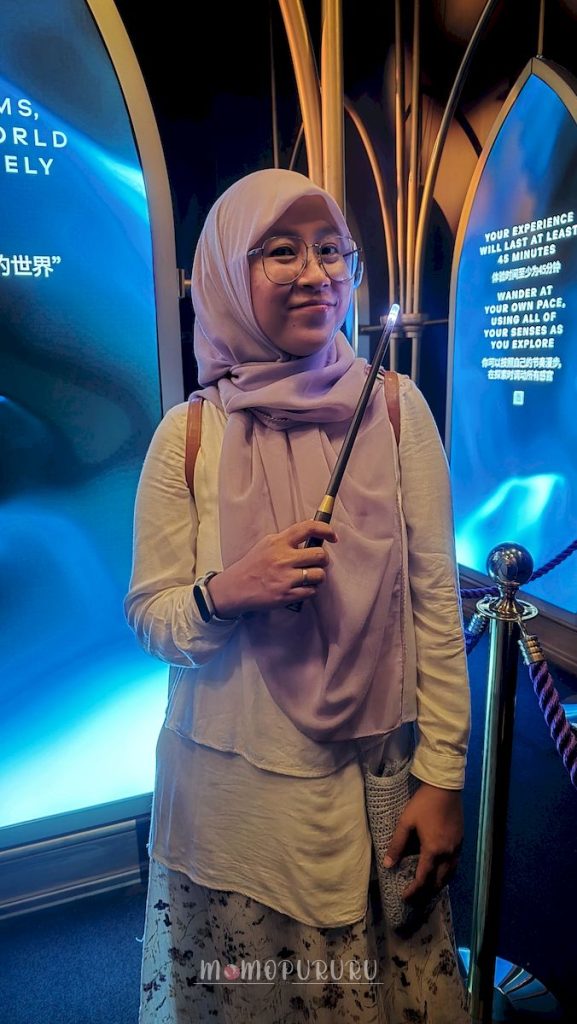 Sudah pakai tongkat sihir