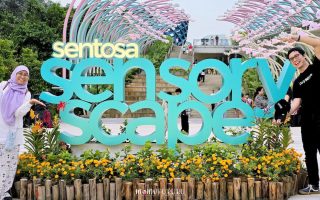Masuk Sensoryscape dari Glow Garden