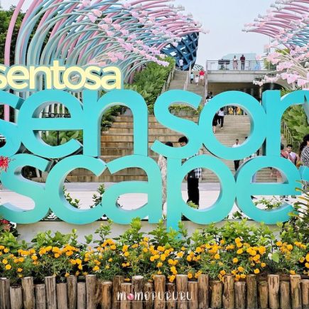 Masuk Sensoryscape dari Glow Garden