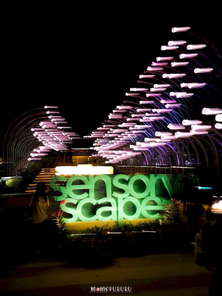 Glow Garden di malam hari