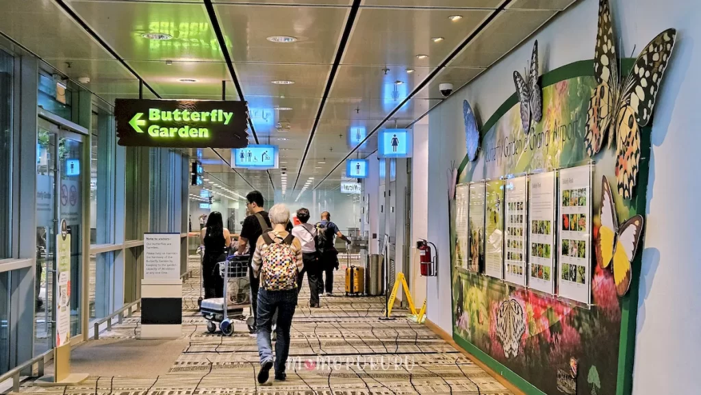 Lokasi butterfly garden di Changi Terminal 3
