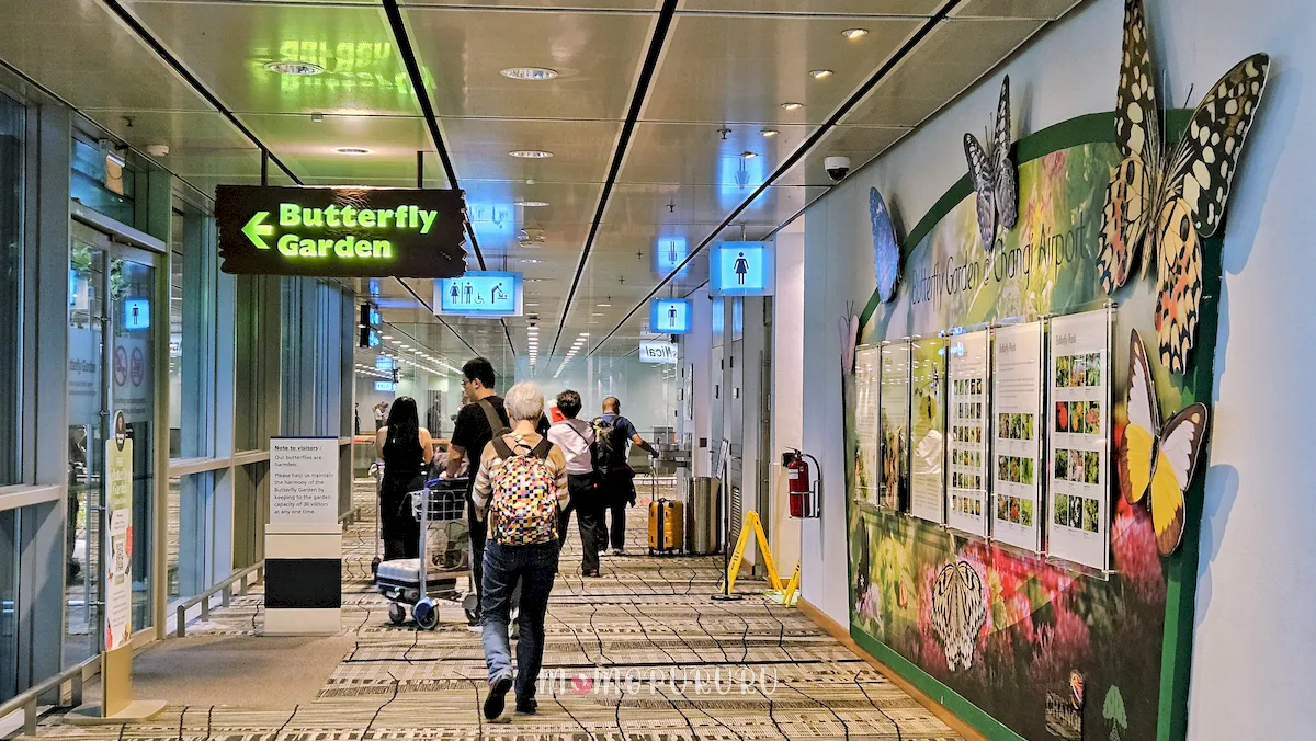 Lokasi butterfly garden di Changi Terminal 3