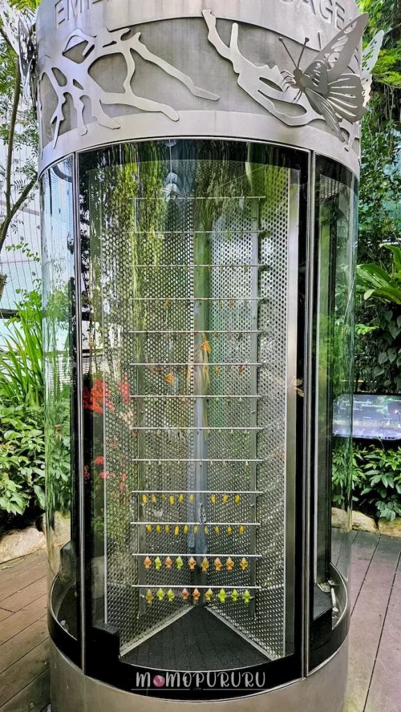 Emergence Cage