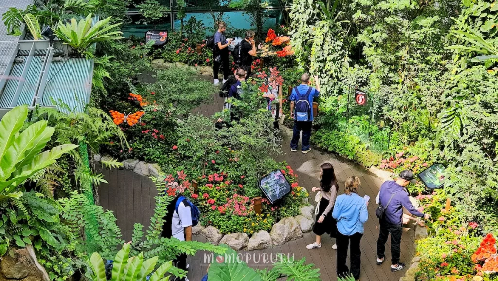 Taman warna-warni
