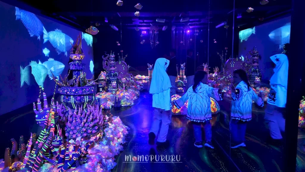 Bagian dalam Kelana Kaia BXSea