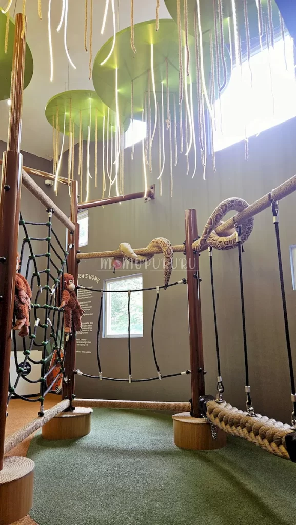 Area hutan di KIN Playspace