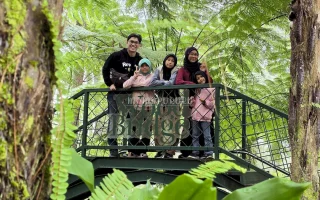 Wood Bridge Orchid Forest