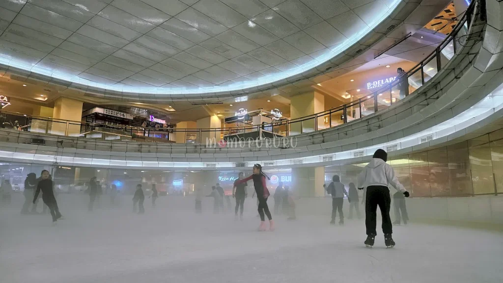 Arena Sky Rink MTA