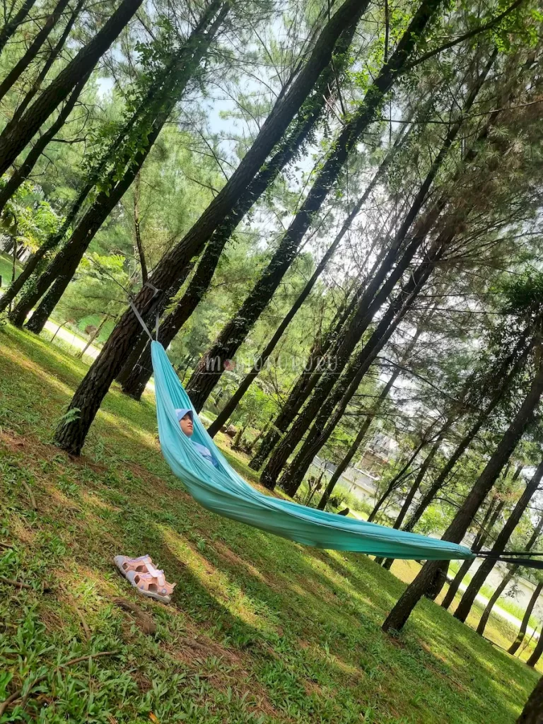 hammock