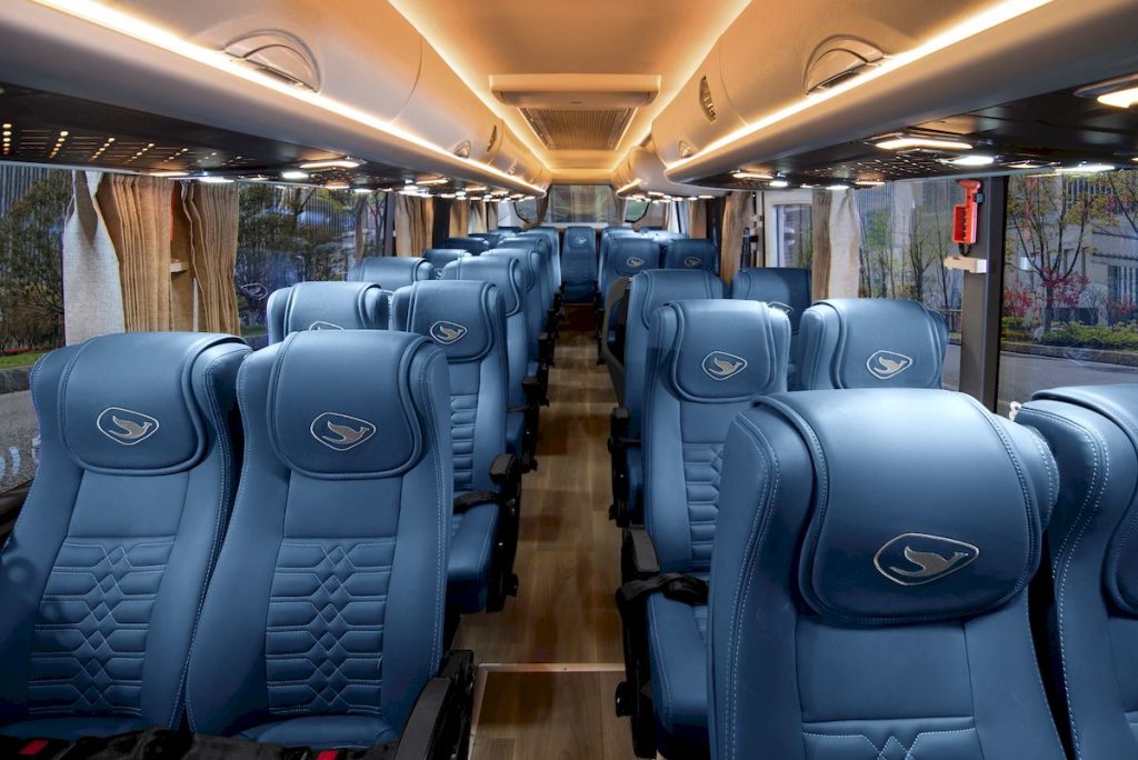 Interior Bigbird
