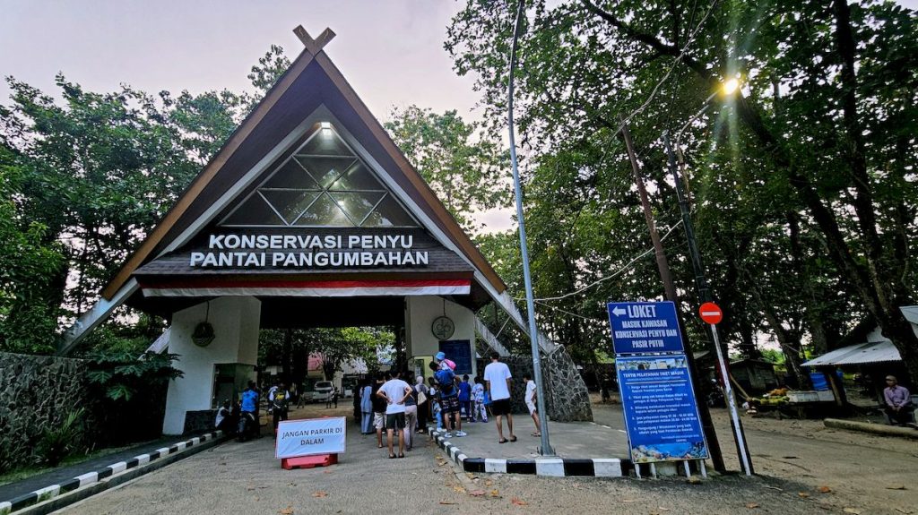 Masuk Konservasi Penyu