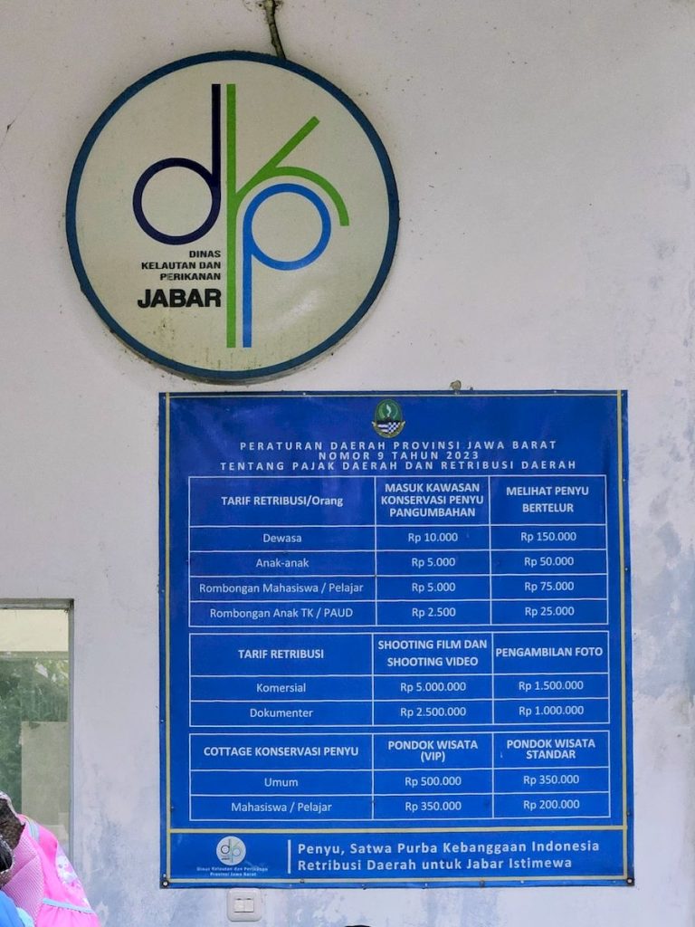 Harga tiket masuk Konservasi Penyu melihat pelepasan Tukik